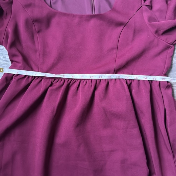 Tuckernuck Burgundy Mini Dress - Picture 12 of 13